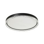 FM2304600R-MB REGI LAMPA SUFITOWA CZARNA ZUMALINE - 2